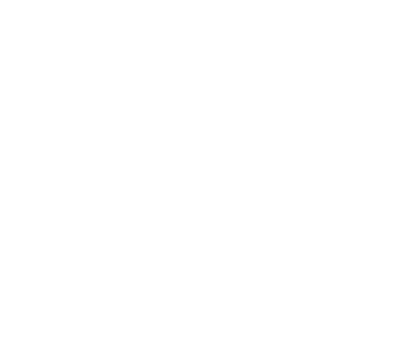 FMT Frankfurt